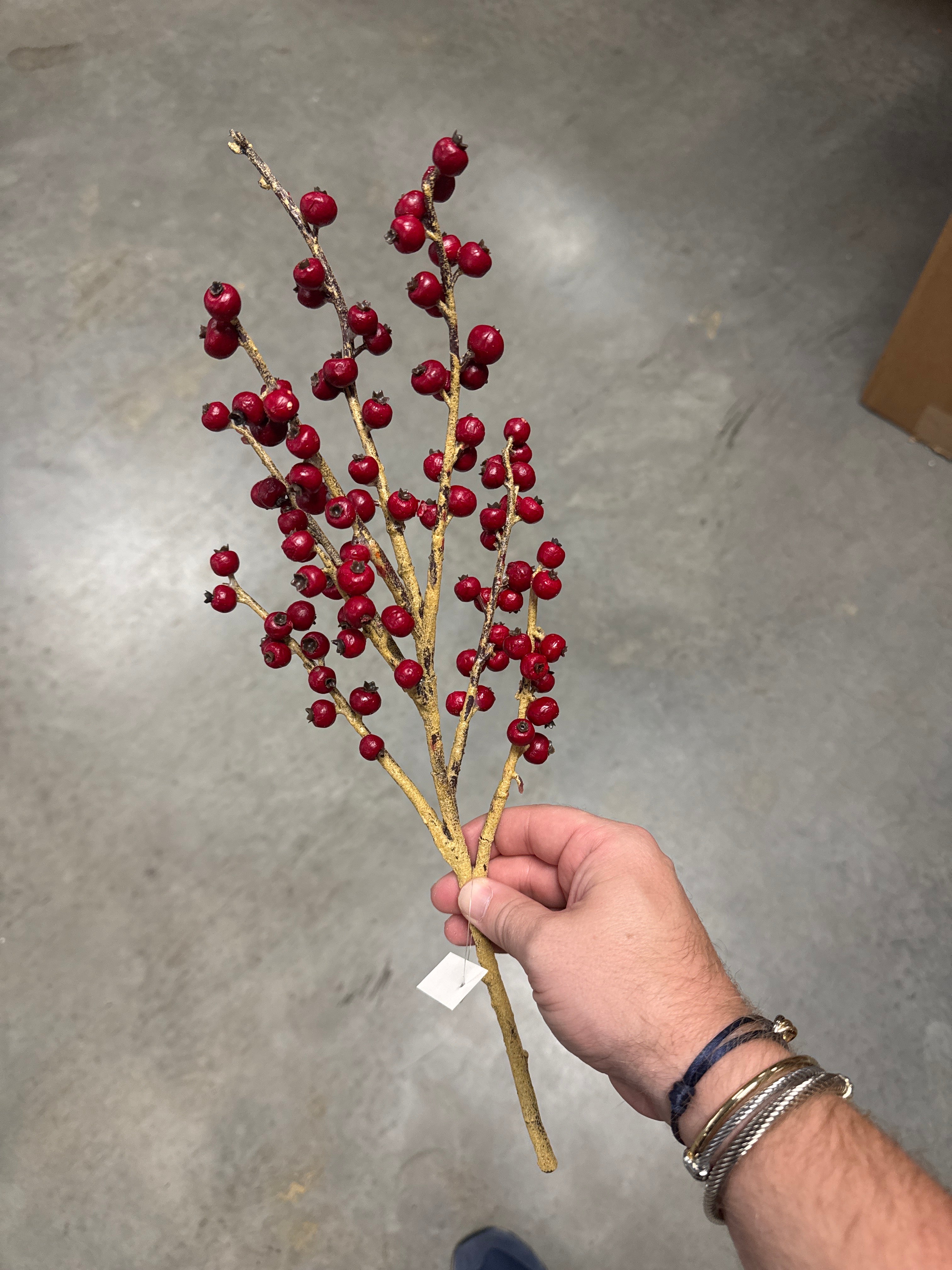 15.5"L Berry Pick