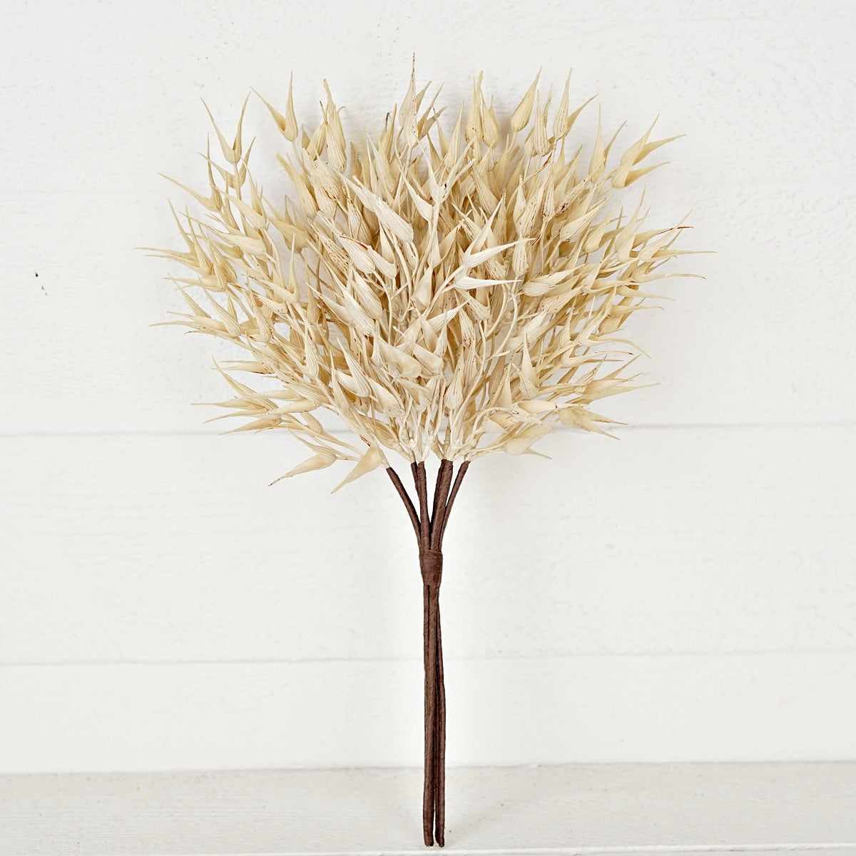 16" Cream Bearded Wheat Grass Stem