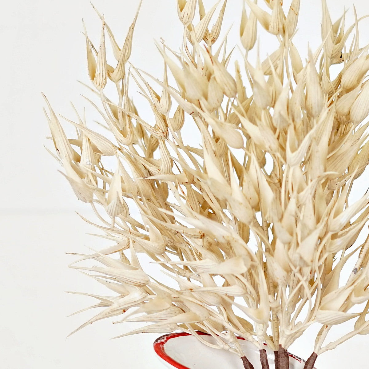 16" Cream Bearded Wheat Grass Stem