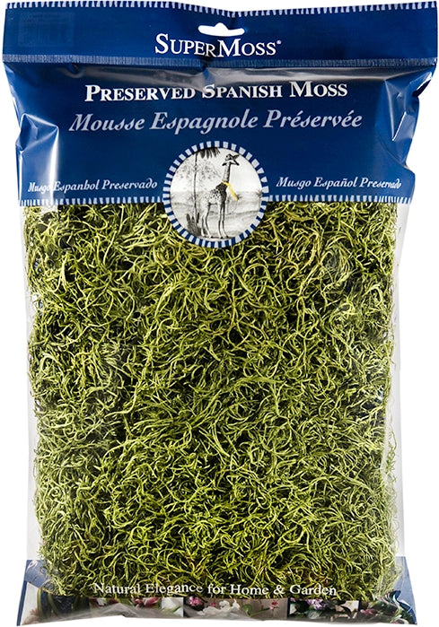 Preserved Spanish Moss