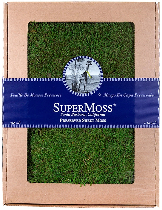 Sheet Moss Preserved