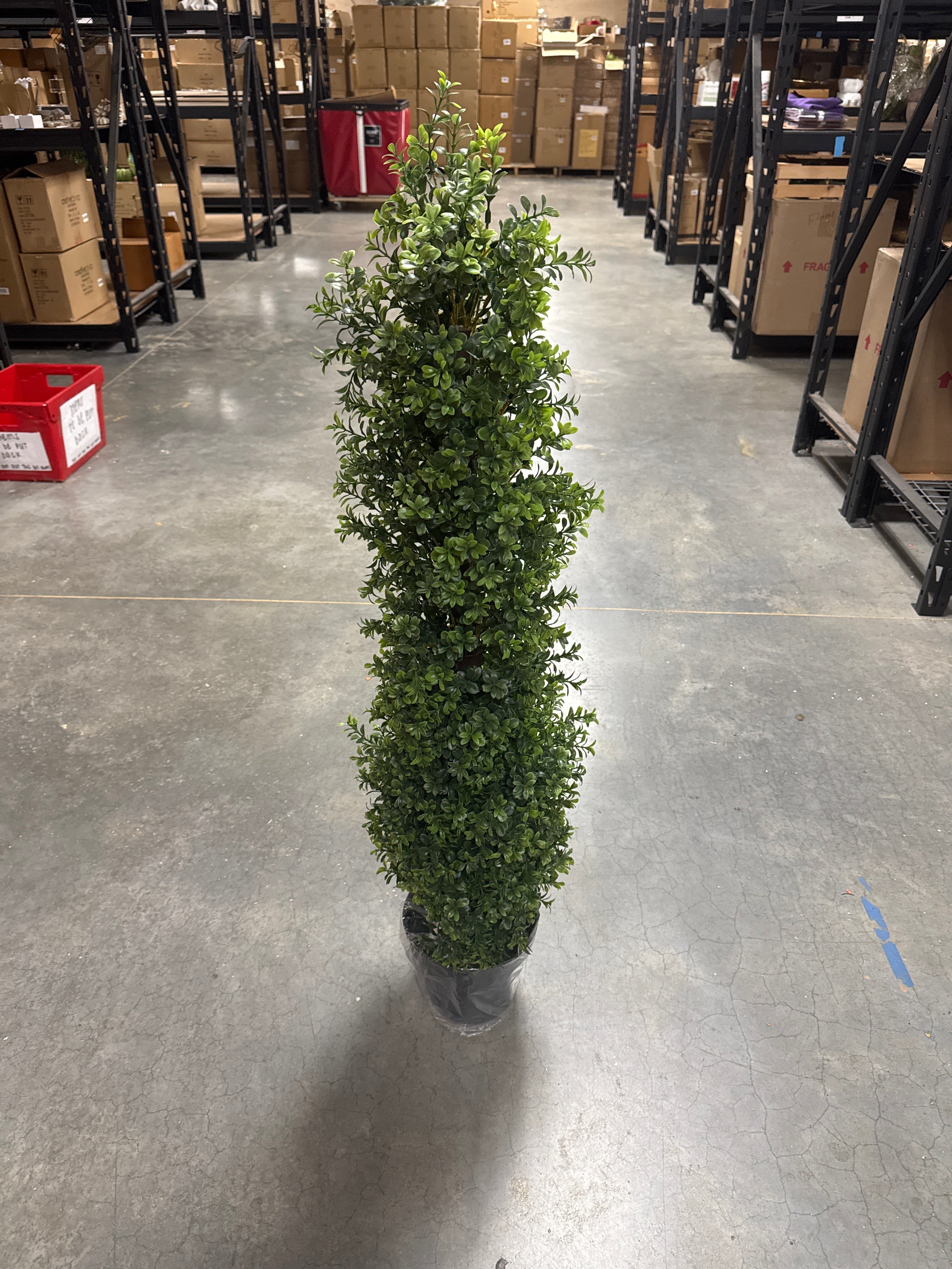 48" Mixed Green Boxwood Tree in Pot, UV Protected