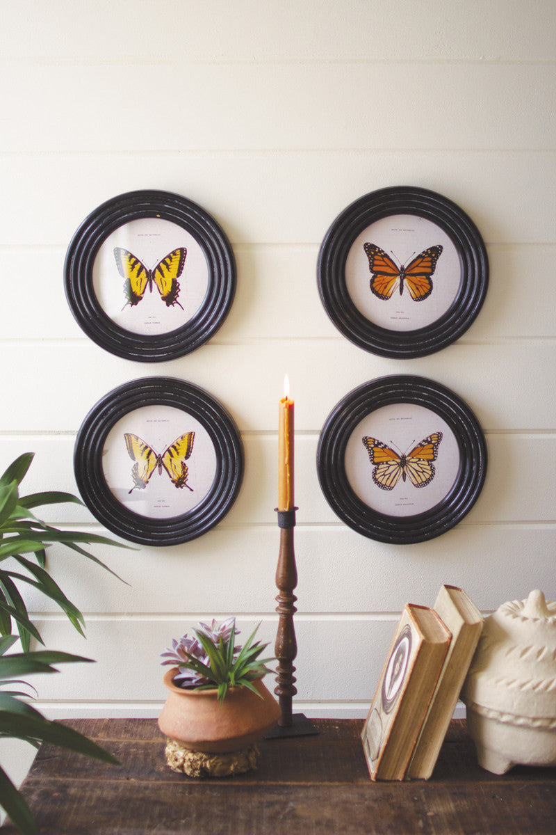 Round Framed Butterfly Prints Under Glass