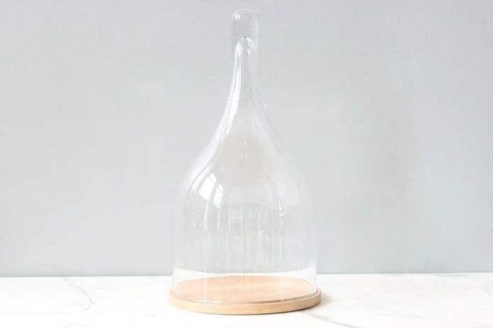 Glass Bell Jar with Wood Base, Style Options