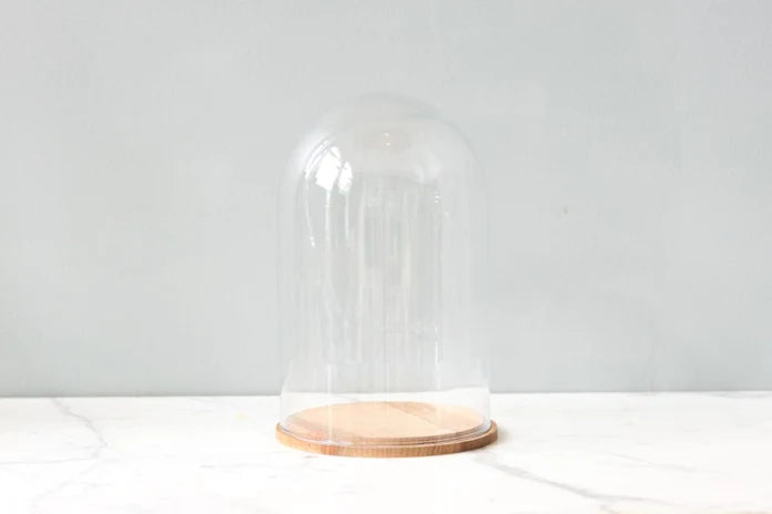 Glass Bell Jar with Wood Base, Style Options