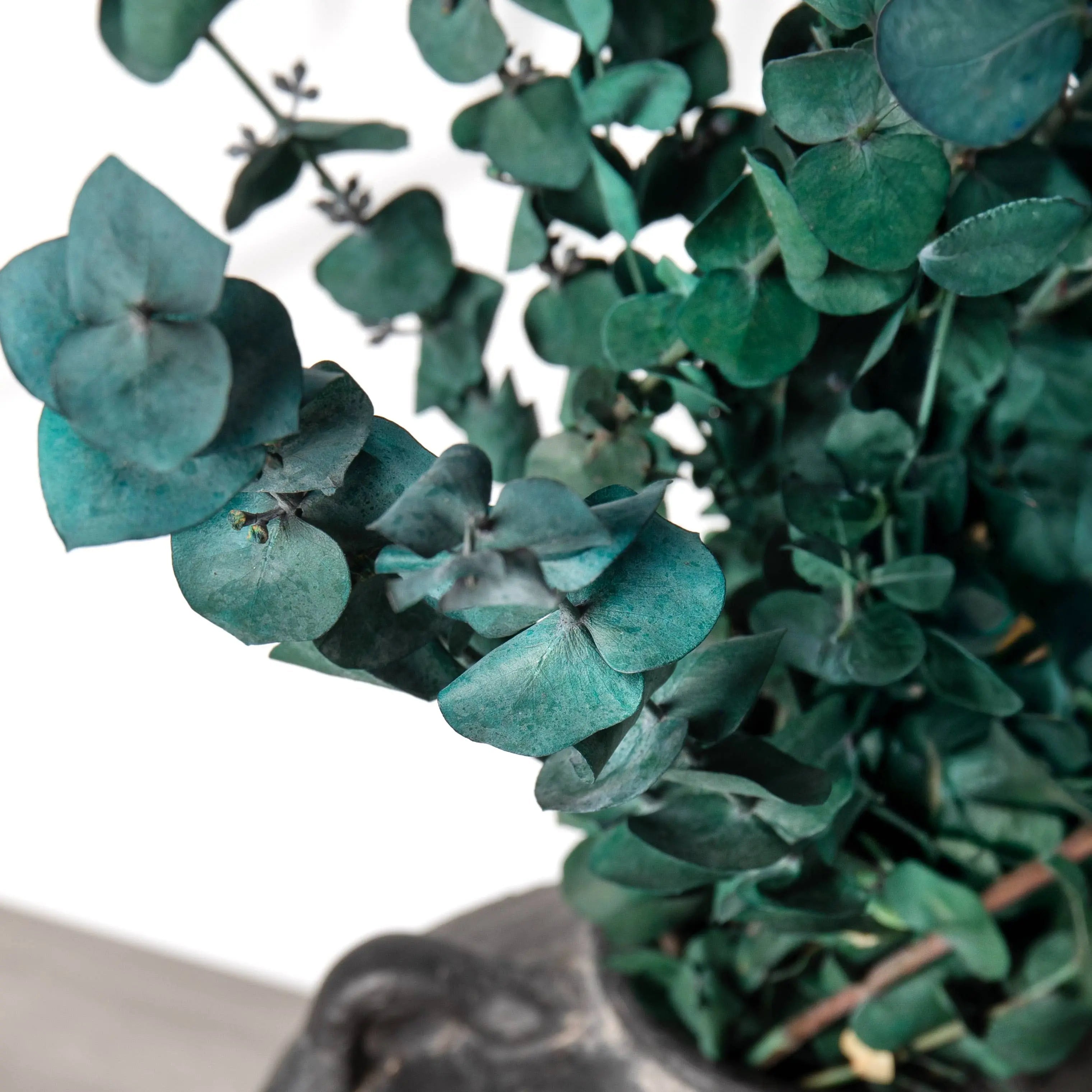 Eucalyptus Satin Green