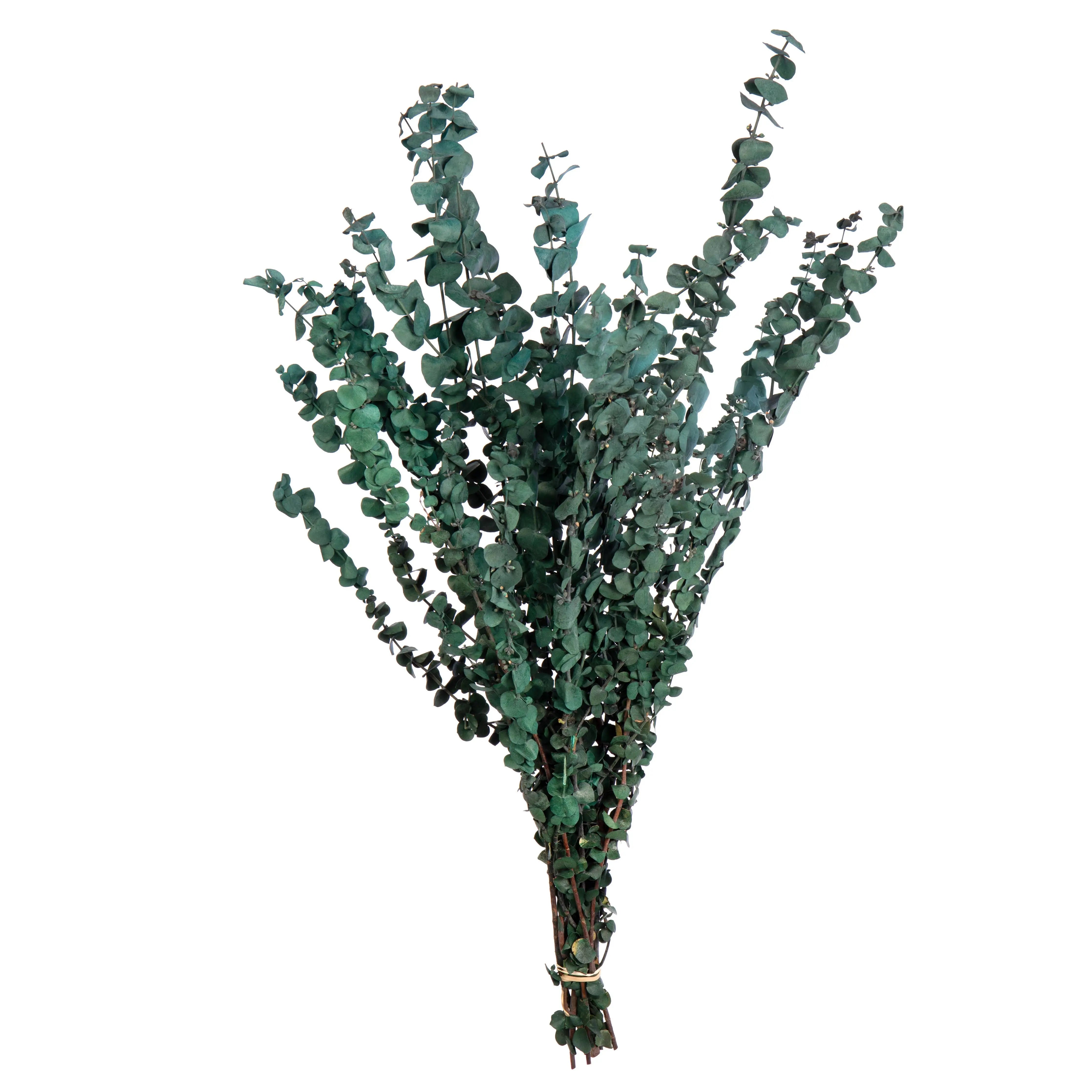 Eucalyptus Satin Green