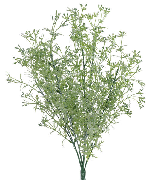 Wildflower Bush, Color Options