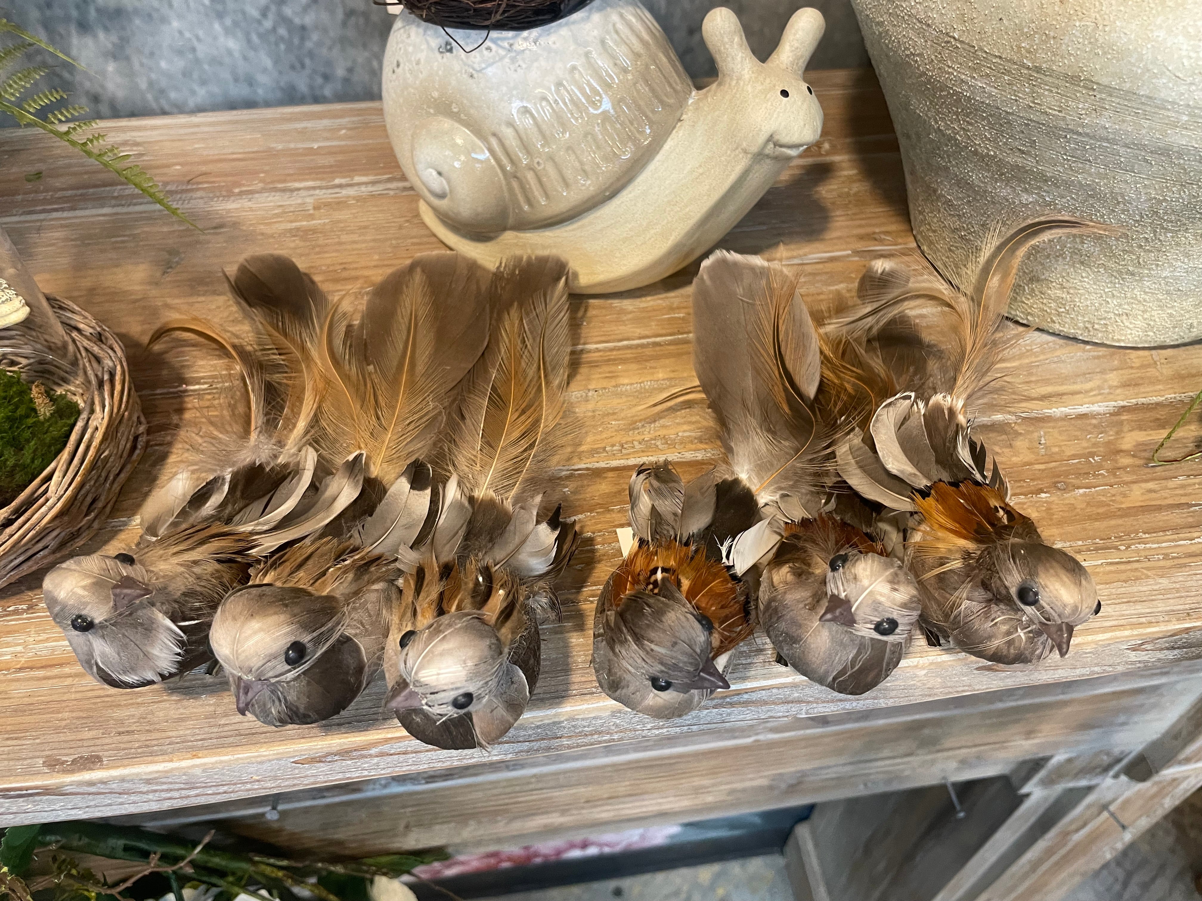 Set of 12 6.5" Feather Bird with Clip