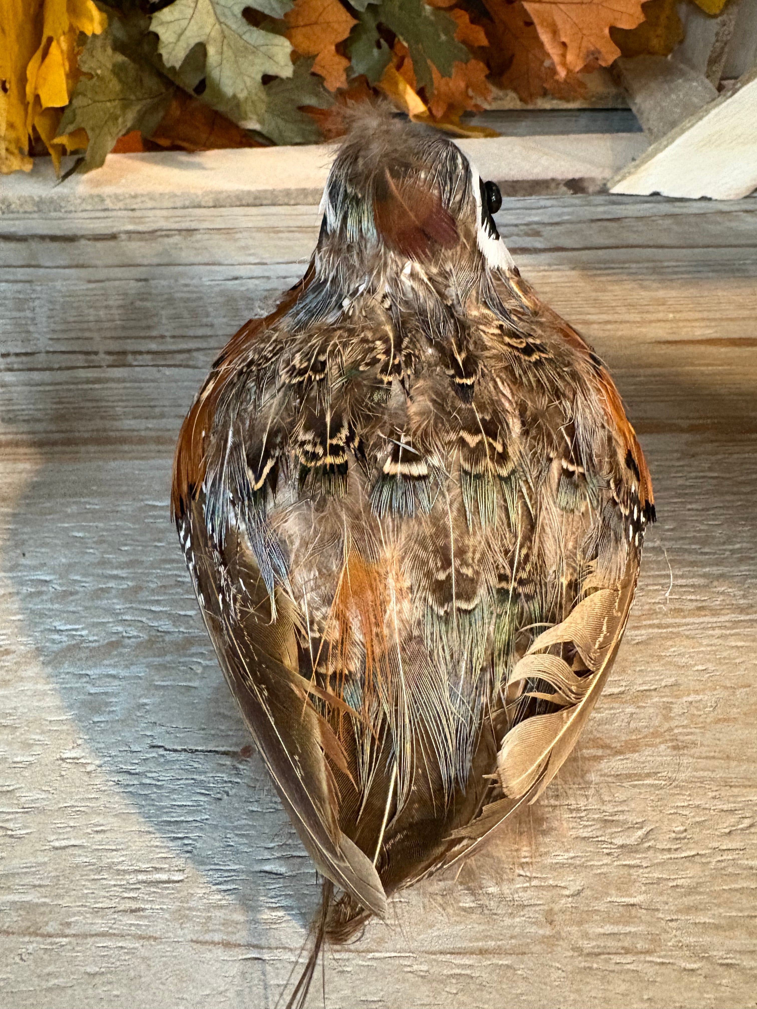 6"L Feathered Quail