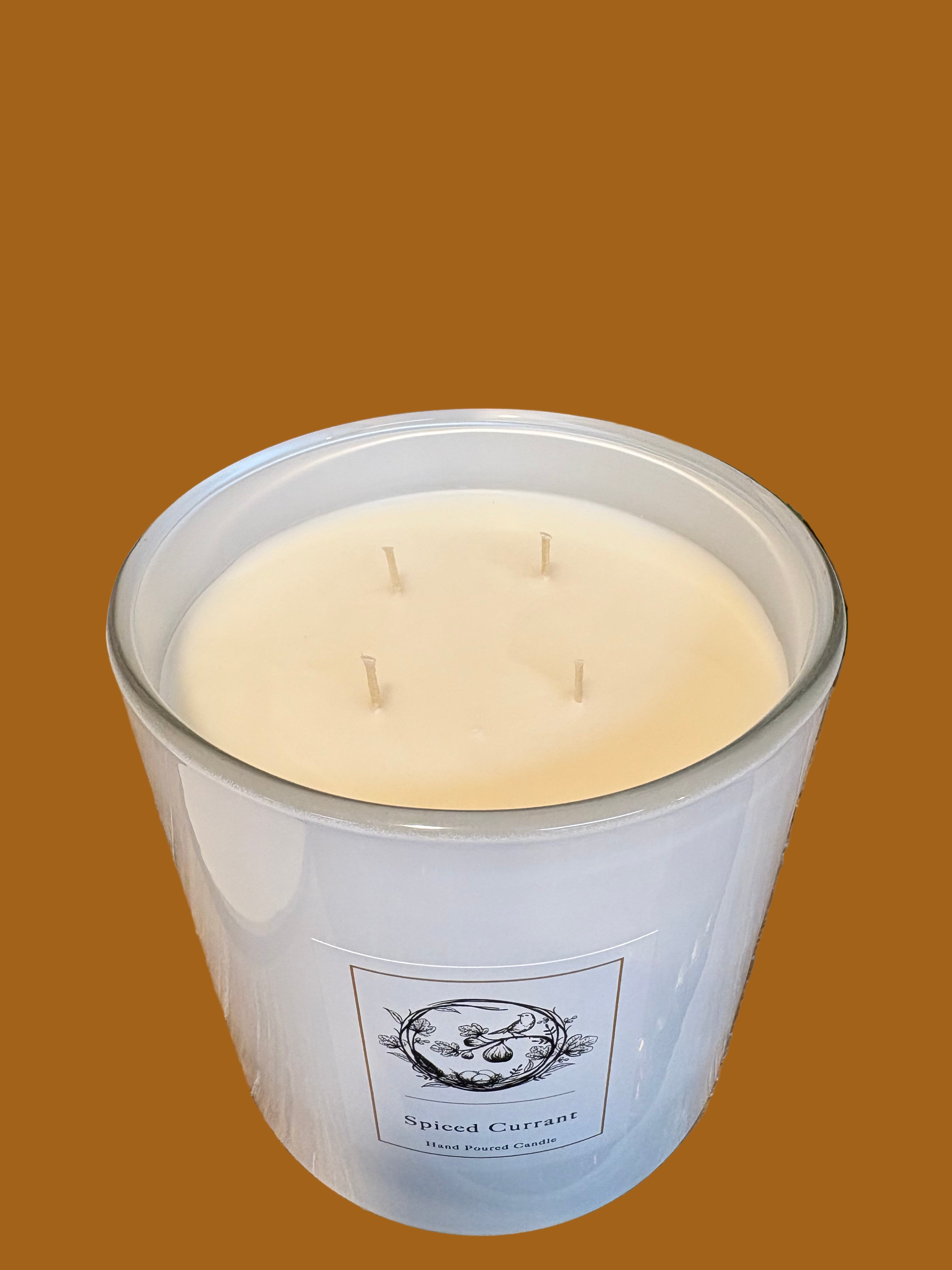 The Nested Fig Reserve Candle Collection , Scent & Size Options