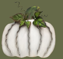 Ribbon Pumpkin, Style & Size Options