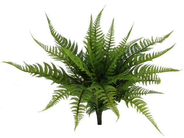 16"L Wild Fern Bush