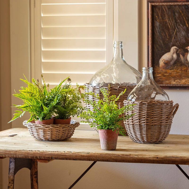 Potting Shed Fern, Style Options