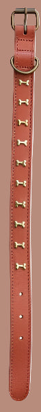 Dog Collar with Brass Bones, 6 Color Options