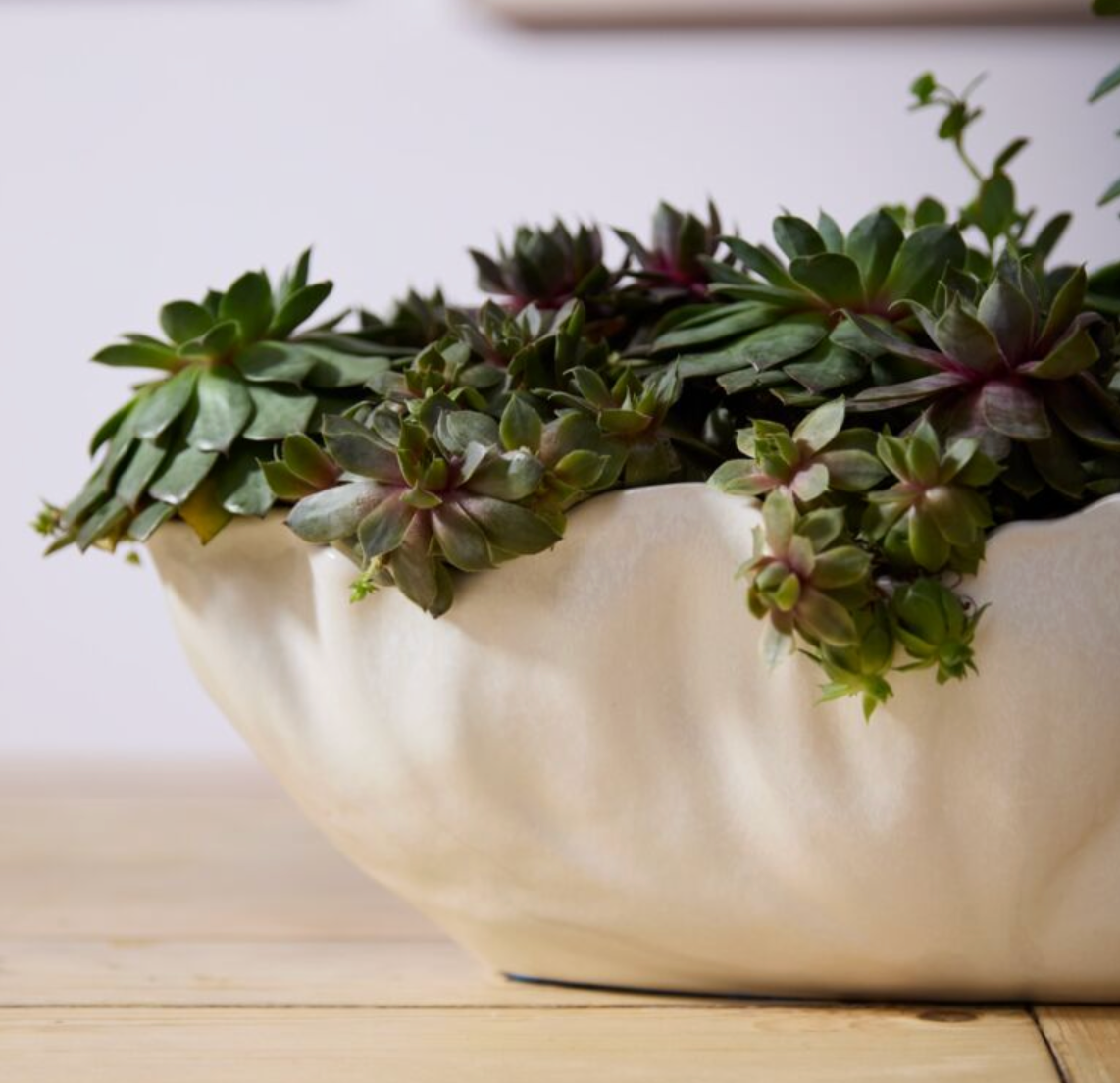 Pre Order Coastline Trough