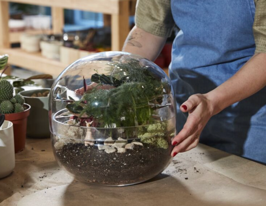 Pre Order Observatory Terrarium