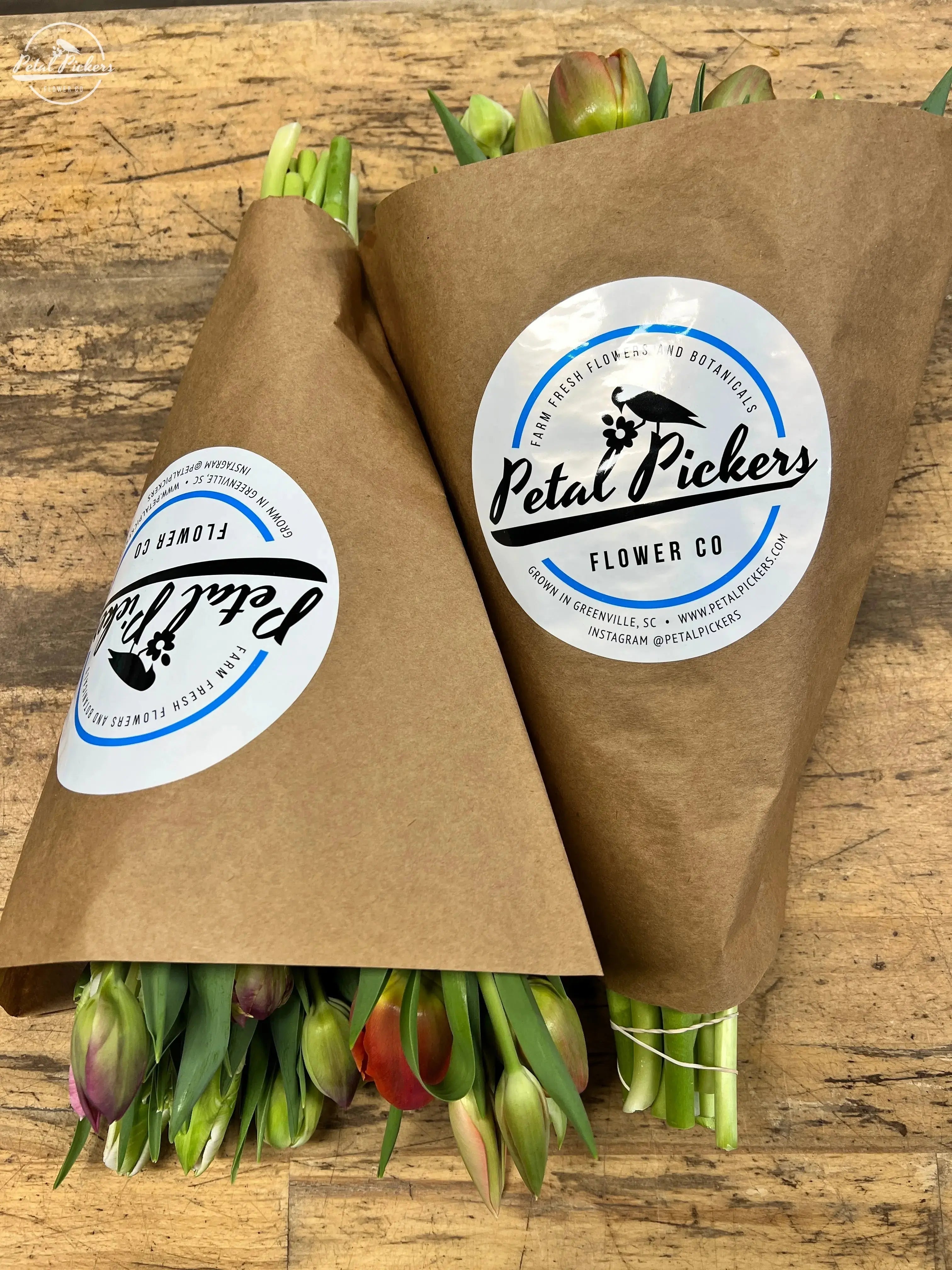 Fresh Cut Specialty Tulips From Petal Pickers