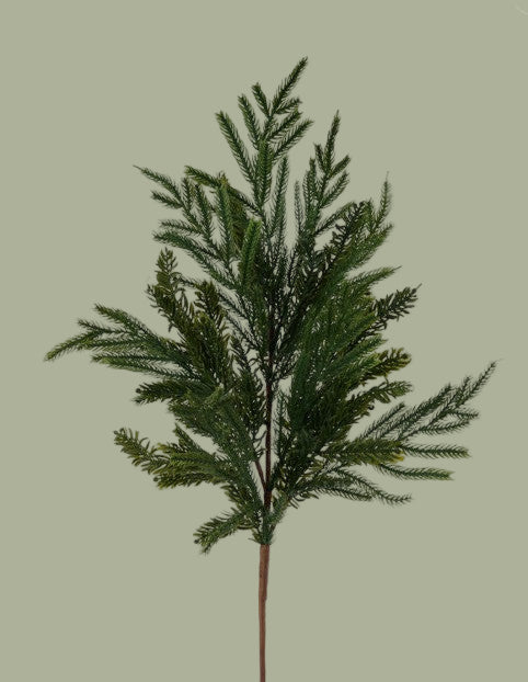 30"L Norfolk Pine & Noble Fir Spray