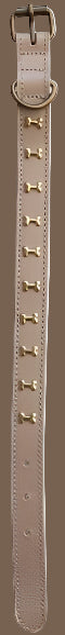 Dog Collar with Brass Bones, 6 Color Options