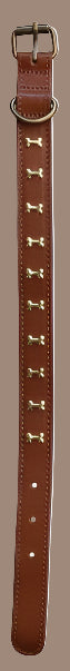 Dog Collar with Brass Bones, 6 Color Options