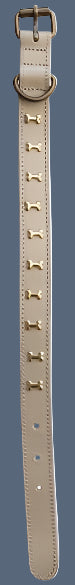 Dog Collar with Brass Bones, 6 Color Options