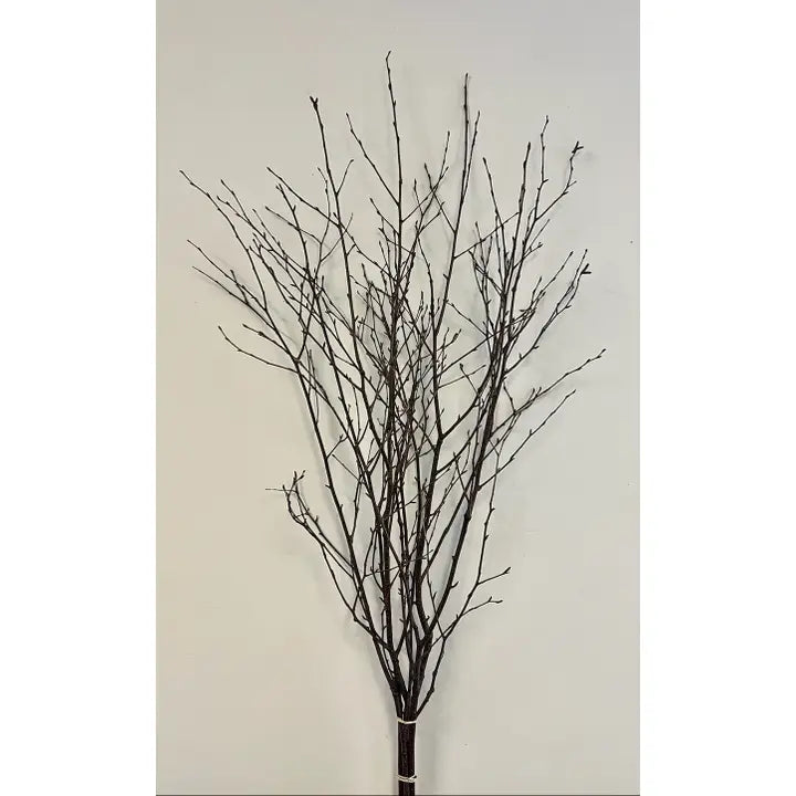 Natural Birch Branches