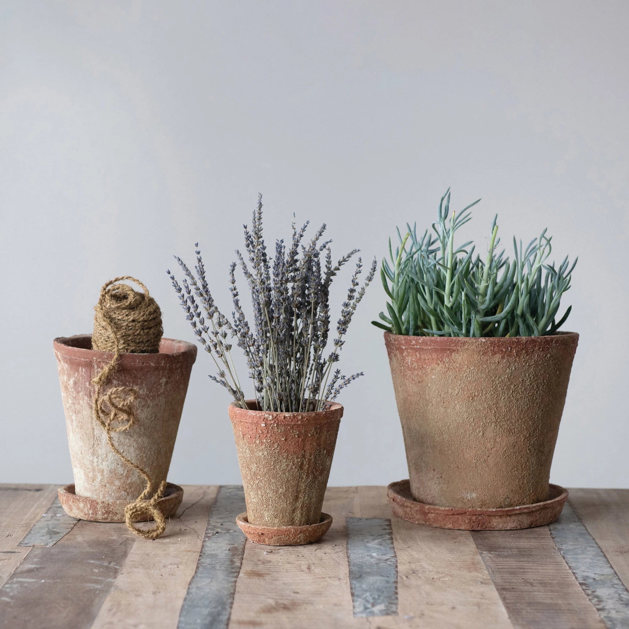 9-1/4"H Distressed Cement Planter with Saucer