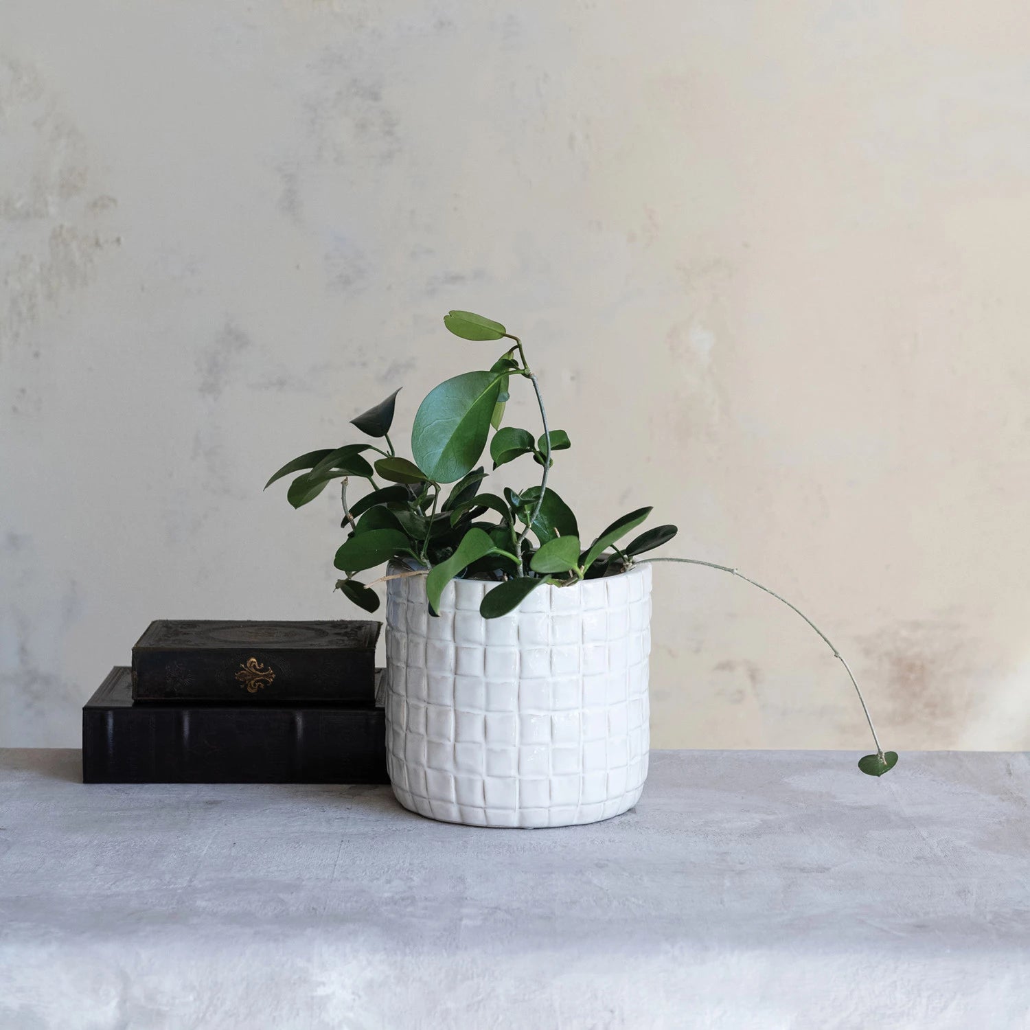 Stoneware Planter with Woven Pattern