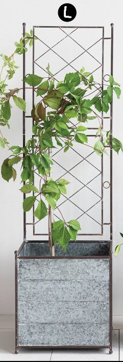 Pre Order Galvanized Metal Planter with Trellis, 2 Size Options