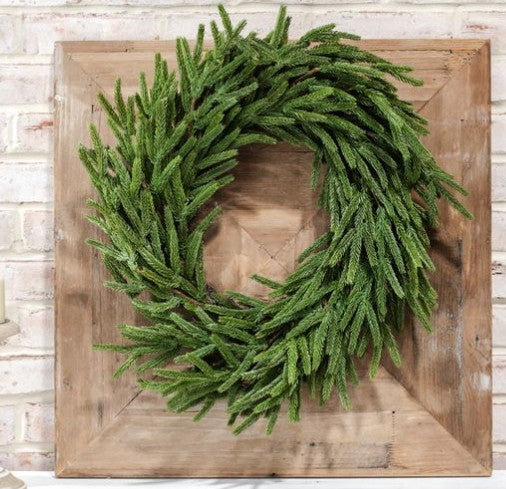 22" Norfolk Pine Wreath