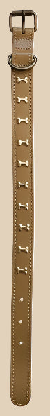 Dog Collar with Brass Bones, 6 Color Options