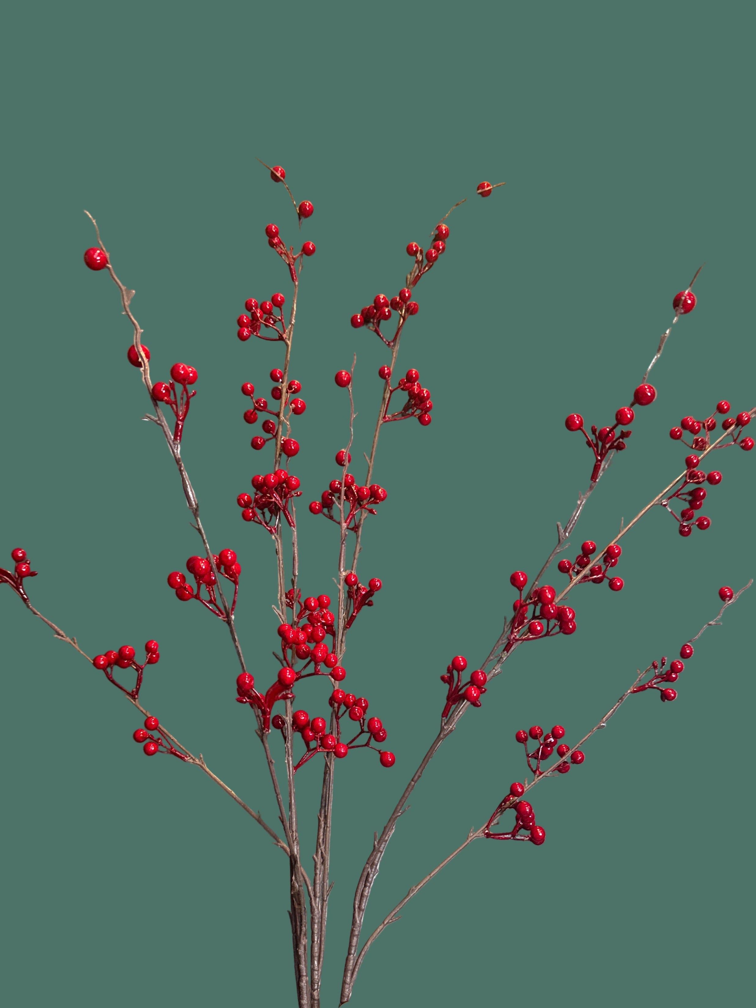 Red Berry Bush