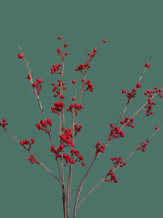 Red Berry Bush