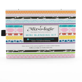 Mini Blending Kit by Mixologie