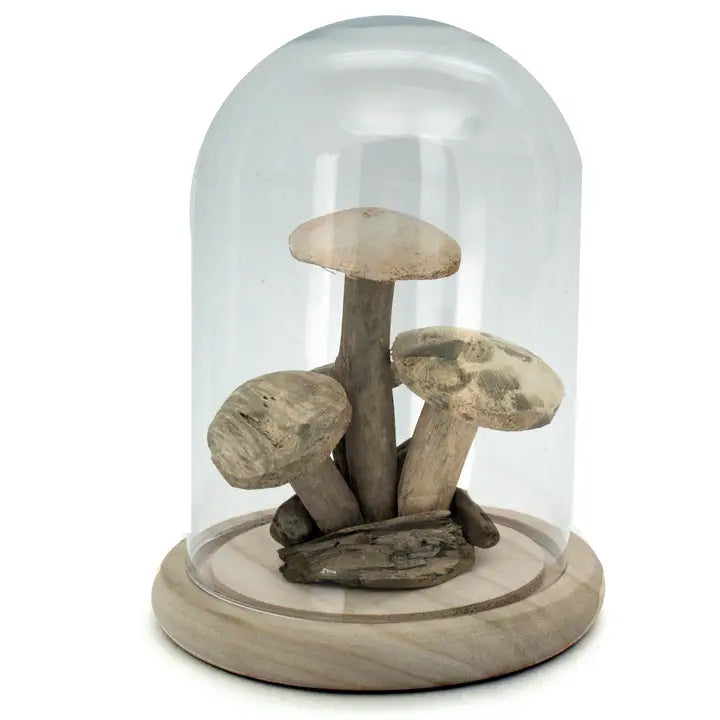 Driftwood Mushrooms in Cloche Dome