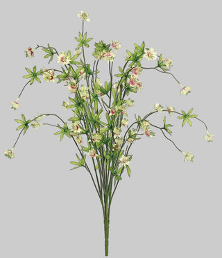 28" Cream & Cerise Aramerus Bush