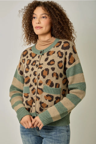 Leopard Jacquard Striped Sleeve Button Front Cardigan