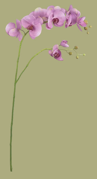 39.5" Phalaenopsis Orchid Spray , 2 Color Options