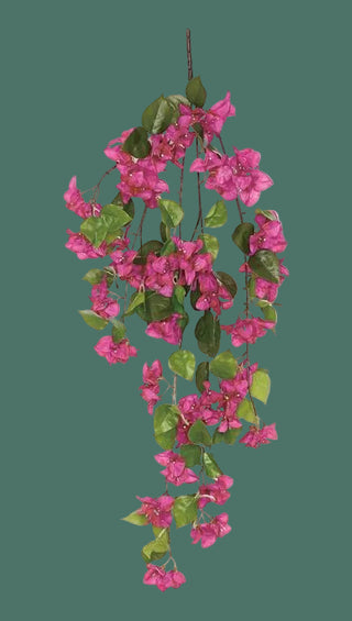 42"L Bougainvillea Hanging Bush