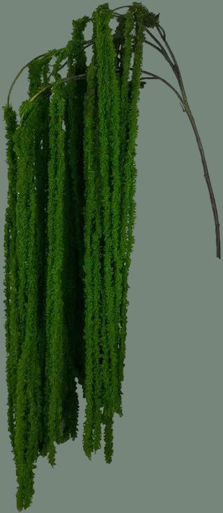 45" Soft Amaranthus Spray