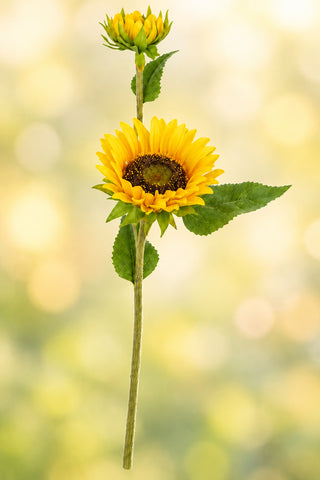 23" Natural Touch Yellow Sunflower w/ Bud