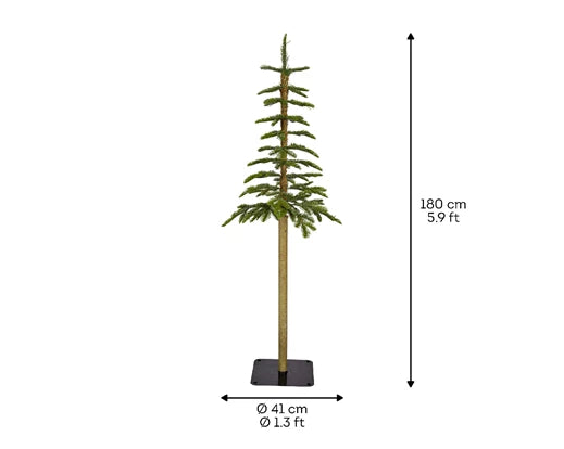 Alpine Fir Tree, Size options