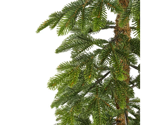 Alpine Fir Tree, Size options