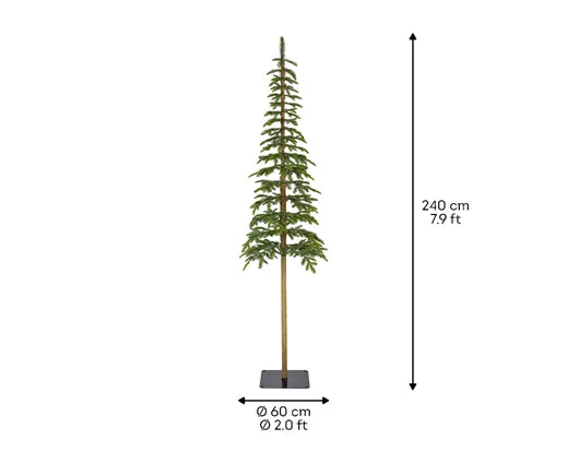 Alpine Fir Tree, Size options