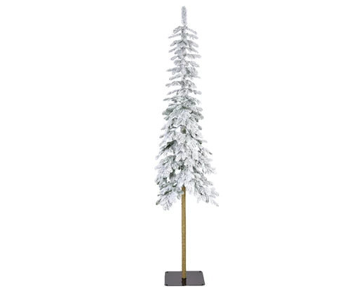 Snowy Alpine Fir, Size Options