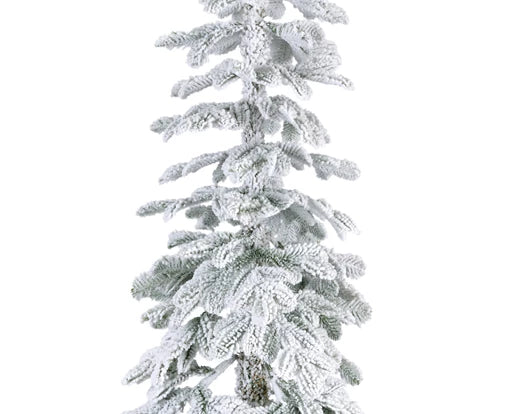 Snowy Alpine Fir, Size Options