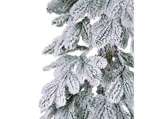 Snowy Alpine Fir, Size Options