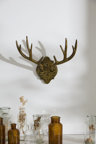 Oakdale Antler Wall Mount