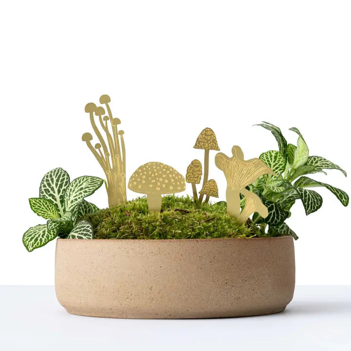 Mini Mushrooms Brass, Plant Pot & Terrarium Decoration